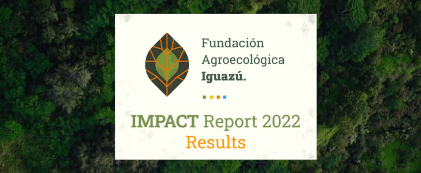 Reporte de impacto 2022